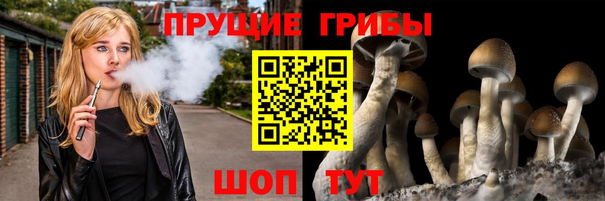 Псилоцибиновые грибы ЛСД  Галлюциногенные грибы Psilocybe  цены   Вход с VPN  Дальнереченск 